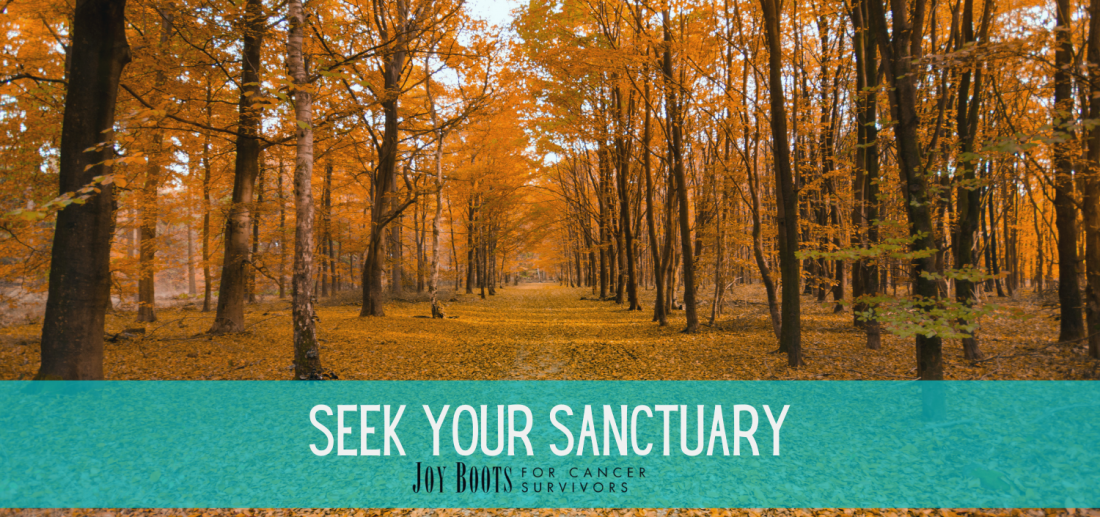 Seek Your Sanctuary